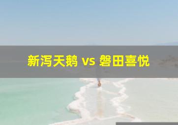 新泻天鹅 vs 磐田喜悦